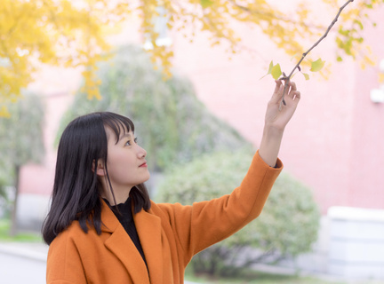 菲律宾的华人导游(华人导游最细消息)